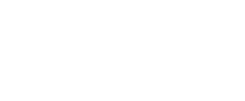 Palmetto Tech Solutions